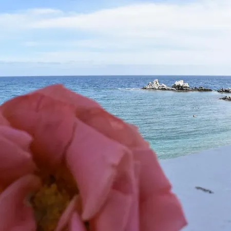 Serene Ocean *