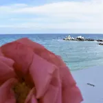 Serene Ocean *